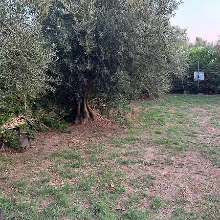 Katerina In Casa de Férias *