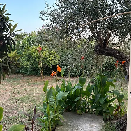 Casa de Férias Katerina In *