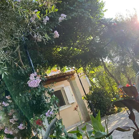 Katerina In Halikounas
