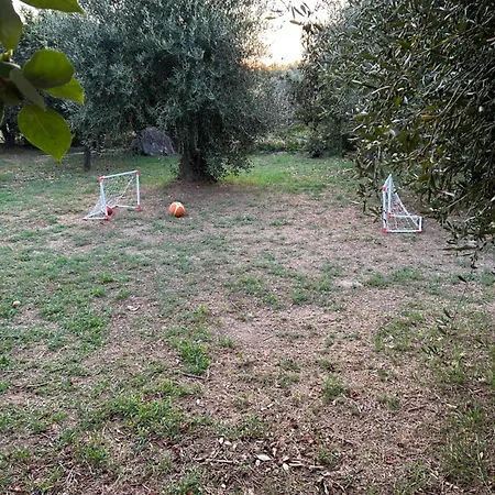 Katerina In Halikounas