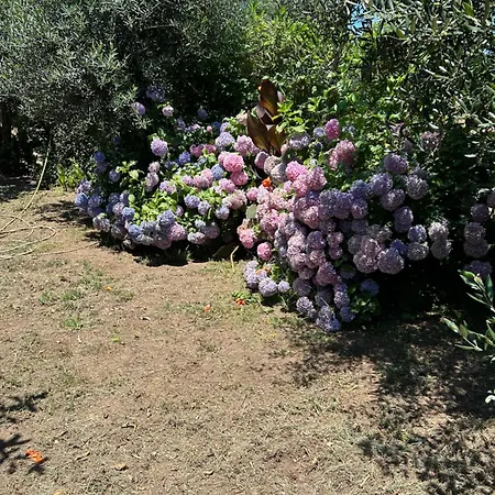 Holiday home Katerina In